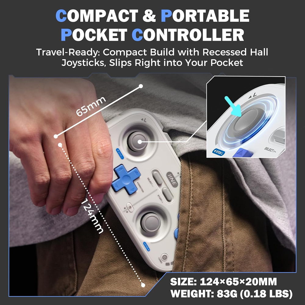IINE Mini Controller Retro Poc - Retro Gaming La review and price